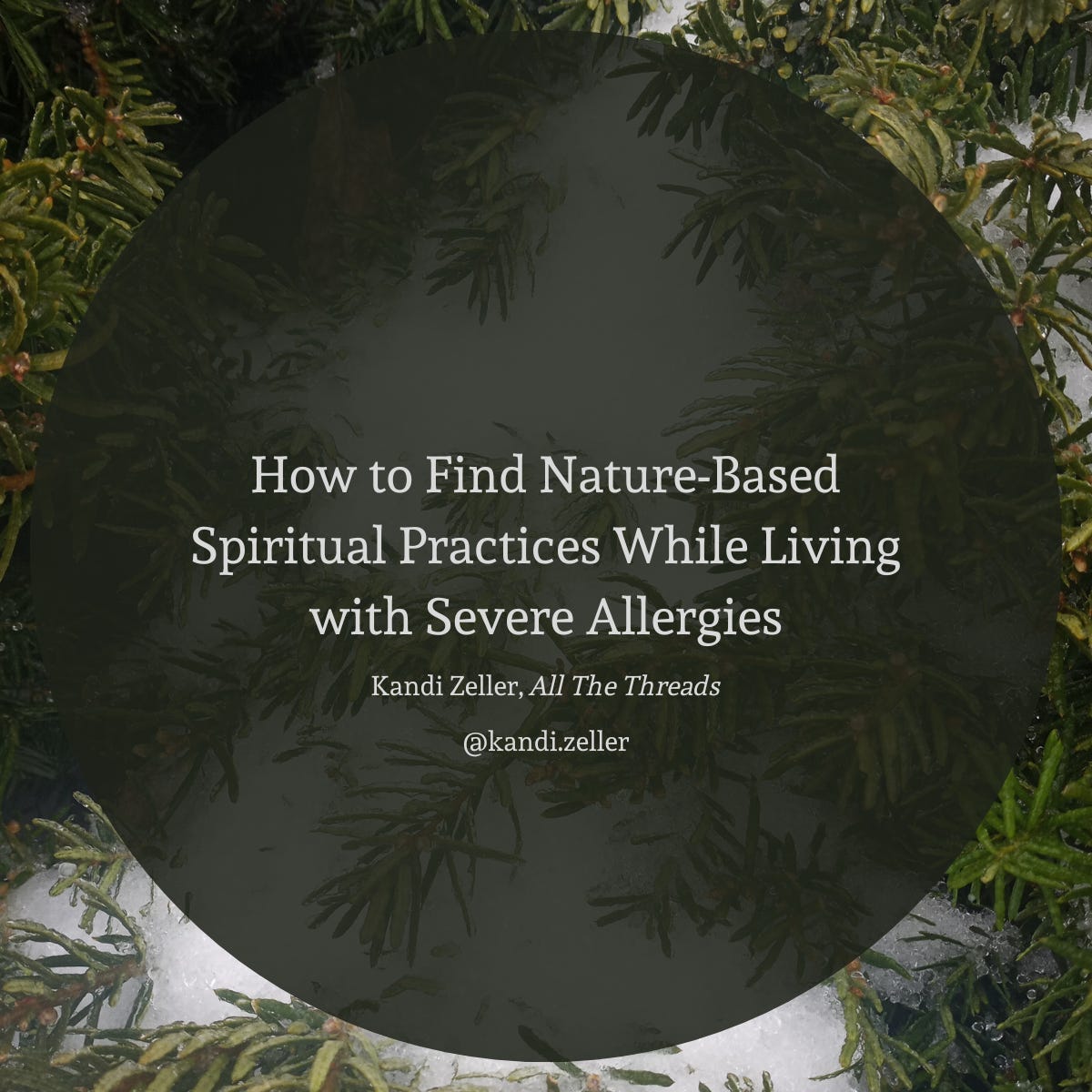 A background of a green bush, covered with patchy snow. On top of the background is a somewhat transparent black circle. On the black circle is white lettering that reads, “How to Find Nature-Based Spiritual Practices While Living with Severe Allergies, Kandi Zeller, All The Threads, @kandi.zeller"
