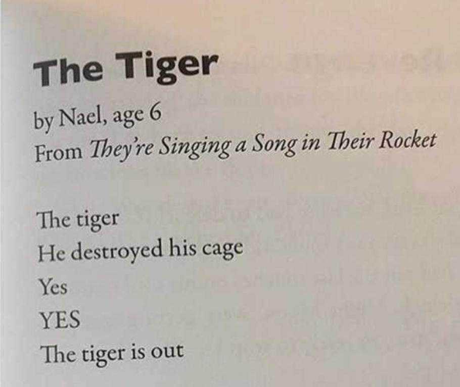 The Tiger, by Nael, age 6