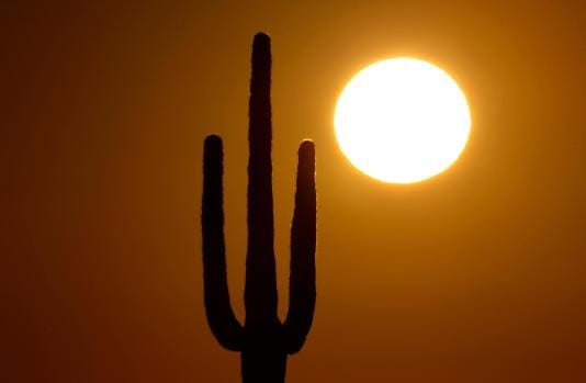 FILE – A saguaro cactus stands against the rising sun Monday, Feb. 22, 2016, in the desert north of Phoenix. The death of an older Arizona woman when her electricity was cut during a heat spell five years ago spurred changes in shutoff rules. The Arizona agency that oversees regulated utilities now bans power companies from cutting off power for failure to pay during Arizona’s hottest months. (AP Photo/Charlie Riedel, File)
