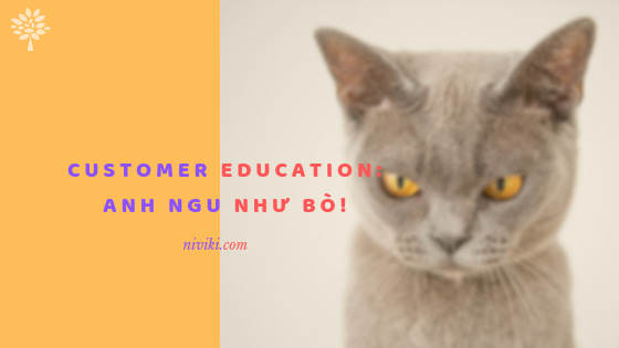 Customer Education: anh ngu như bò!