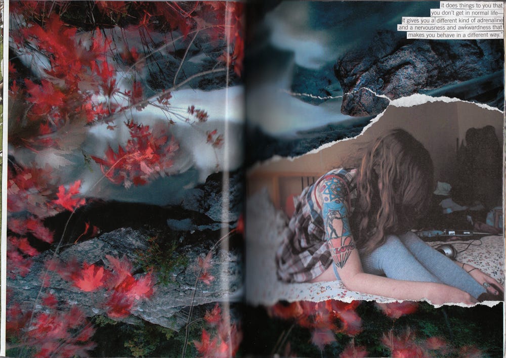 a two-page collage spread shows a torn piece of a photo of the writer across an image of red leaves and a river