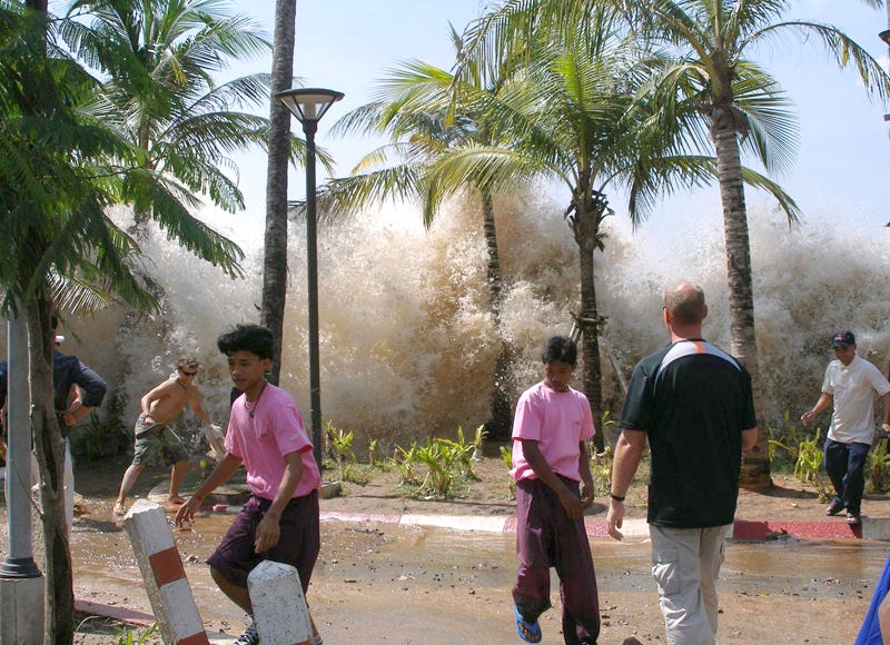 People running away from a giant tsunami wave with palm trees in the foreground.