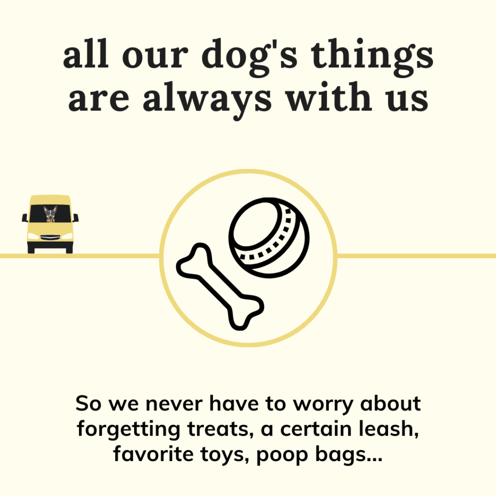 All our dog's things are always with us