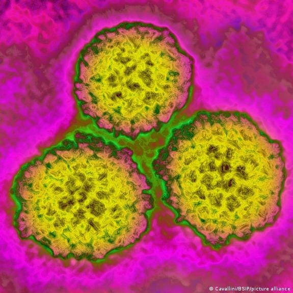 Picture of HPV