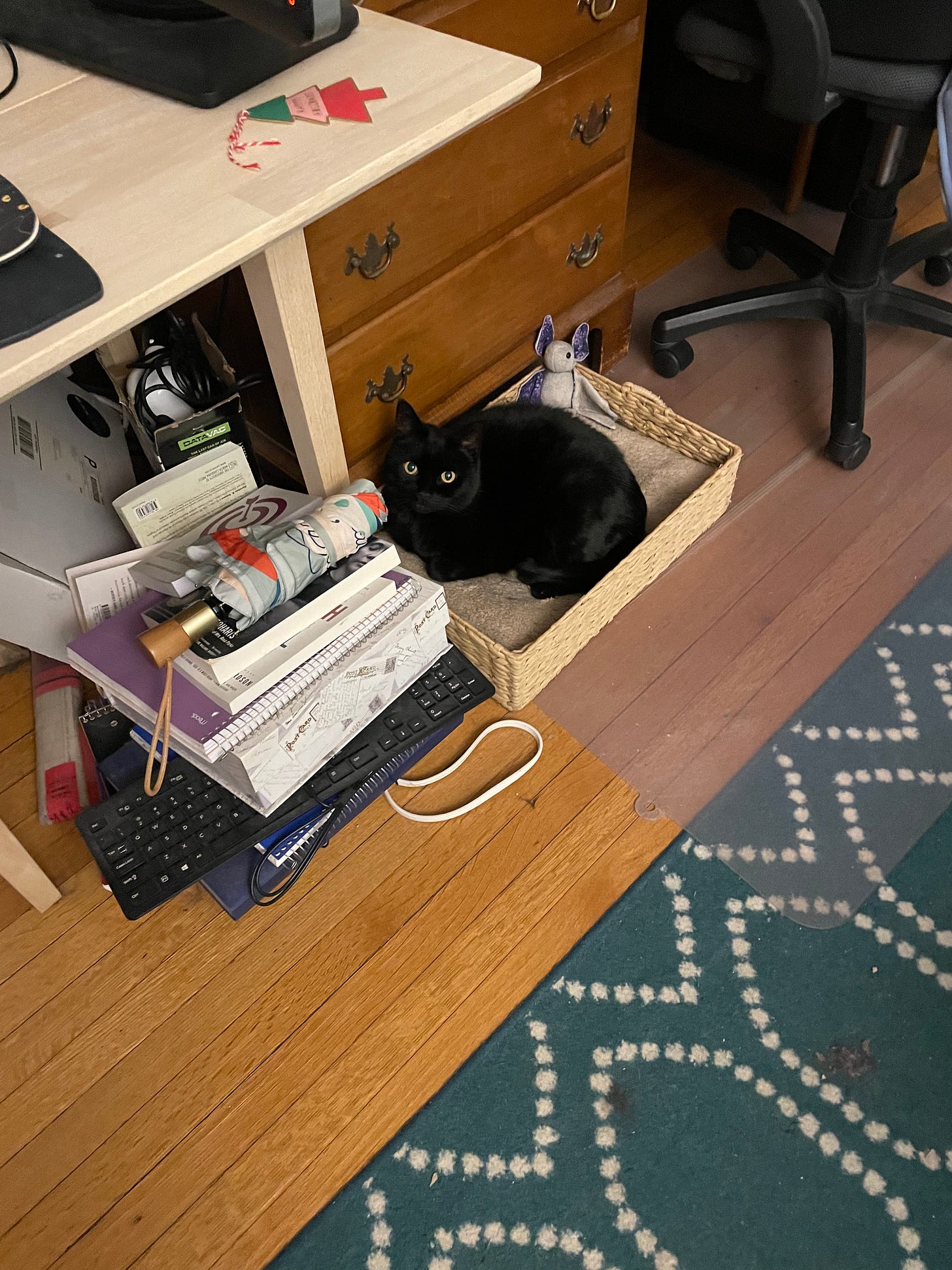 A small black cat sits in her bed at the foot of a desk.