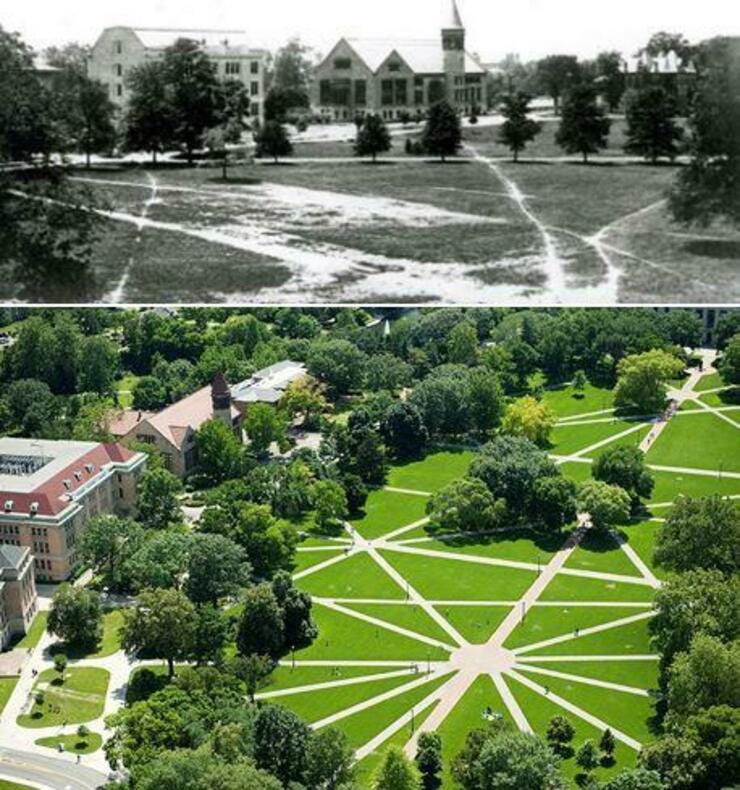 The Oval walkways at Ohio State University were paved based on desire paths.