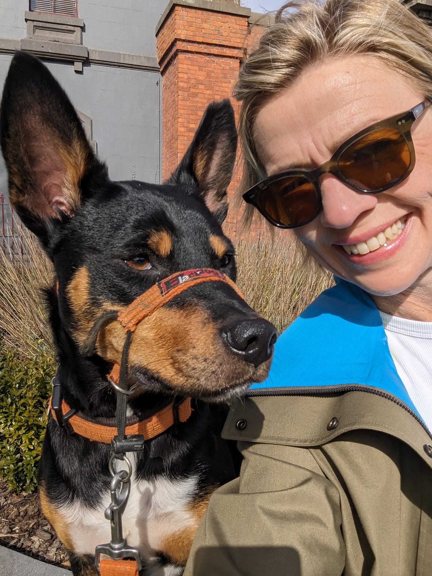 Smiling woman in sunglasses and a blue and olive coat sitting next to a black and tan Australian Kelpie dog. The woman is smiling at the camera. The dog is looking off into the distance.