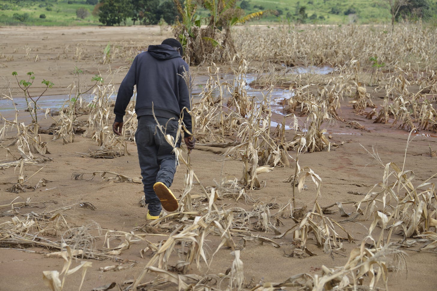 Malawi: The climate crisis is pushing food farmers into starvation