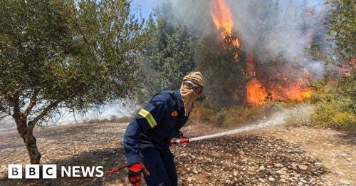Deadly Mediterranean wildfires kill more than 40