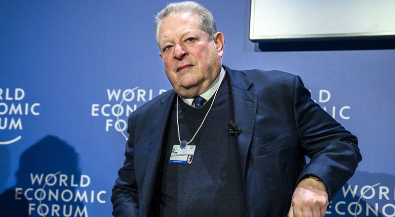 Al Gore warns of consequences of missing WEF's Net Zero schedule