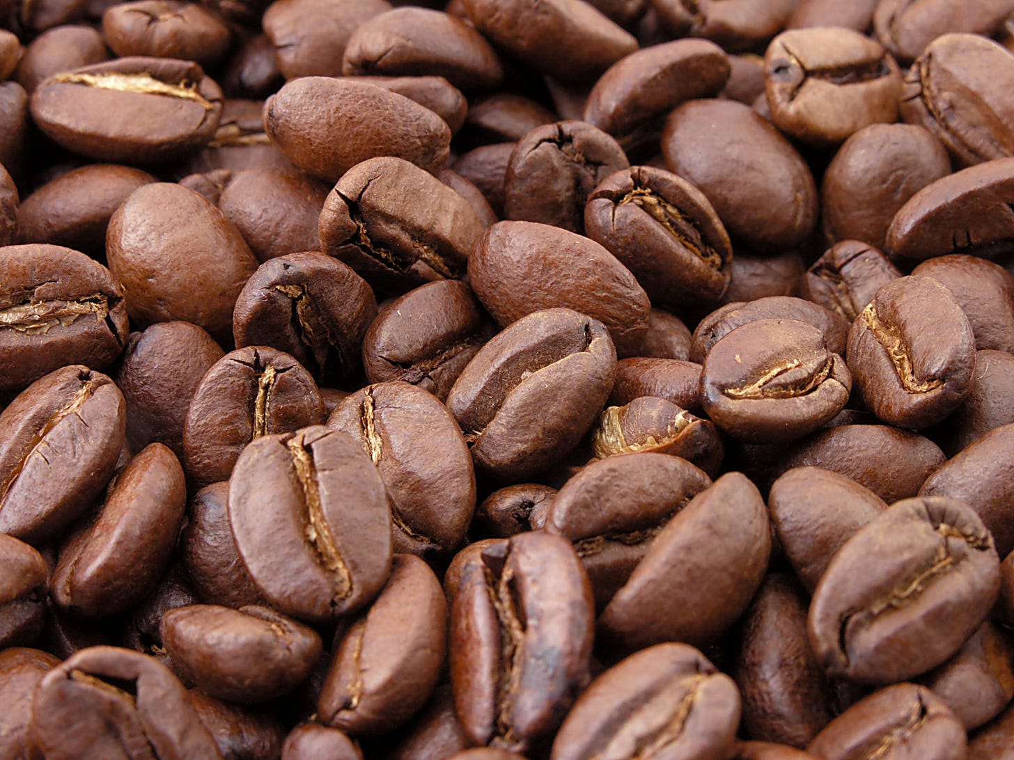 A bunch of roasted coffee beans, taken from Wikipedia.