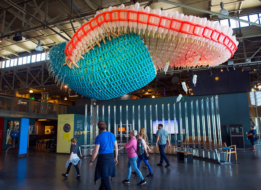 Immense, Inflatable Artworks Inspire Curiosity and Delight at San  Francisco's Exploratorium | Exploratorium