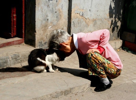 Photo of Woman and Cat in Love