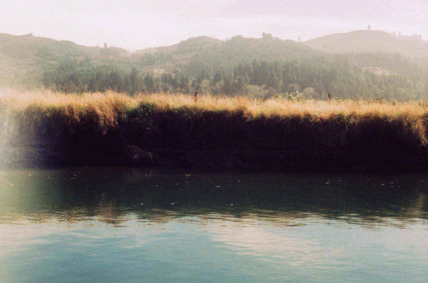 A photo of a river, with vegetation & reeds just behind it and, farther in the distance, trees and hills.