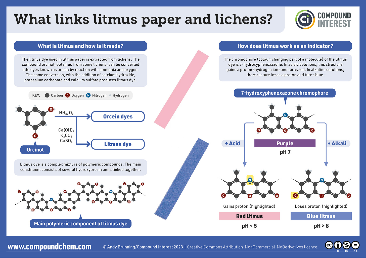 Infographic on litmus paper. The graphic explains how litmus dyes can be derived from orcinol, itself sourced from species of lichens. The chromophore of the litmus dye is 7-hydroxyphenoxazone. In acidic solutions, the protonated structure is red, while in alkaline solutions the deprotonated structure is blue.