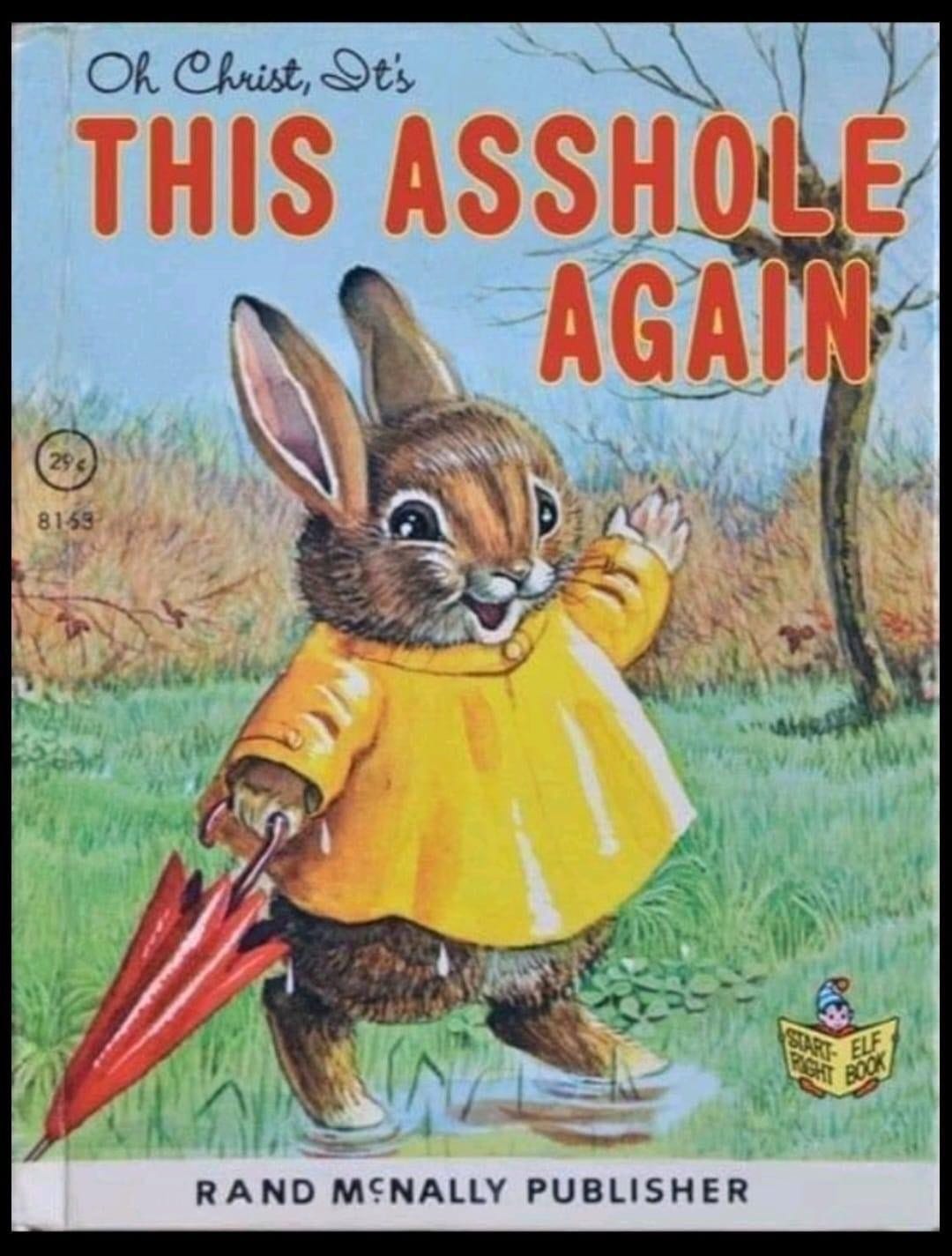 Cover of vintage children's book with cute bunny wearing raincoat, title is "Oh Christ, It's This Asshole Again"