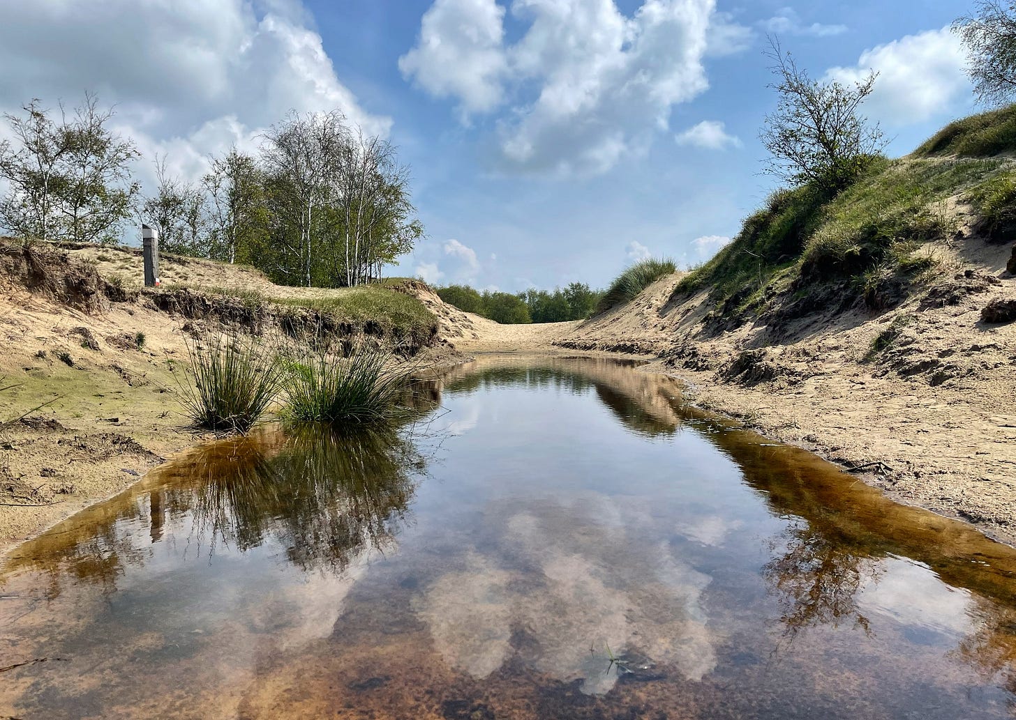 reflections of clouds in a puddle of water in the dunes