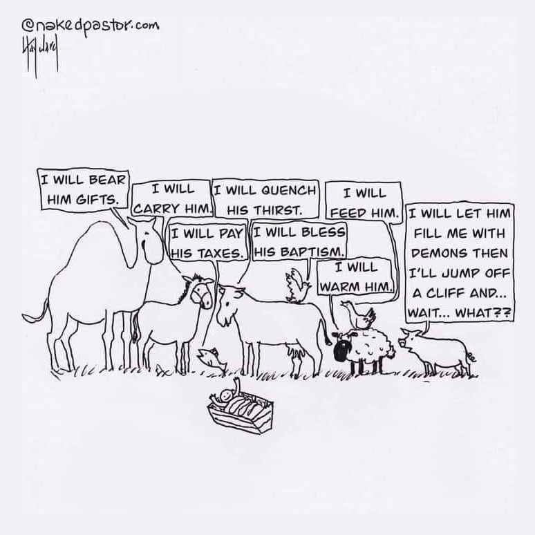 Naked Pastor cartoon: Baby Jesus with animals. CAMEL: I will bear him gifts. DONKEY: I will carry him. COW: I will quench his thirst. BIRD: I will feed him. FISH: I will pay his taxes. DOVE: I will bless his baptism. SHEEP: I will warm him. PIG: I will let him fill me with demons then I’ll jump off a cliff and … wait … WHAT?? 