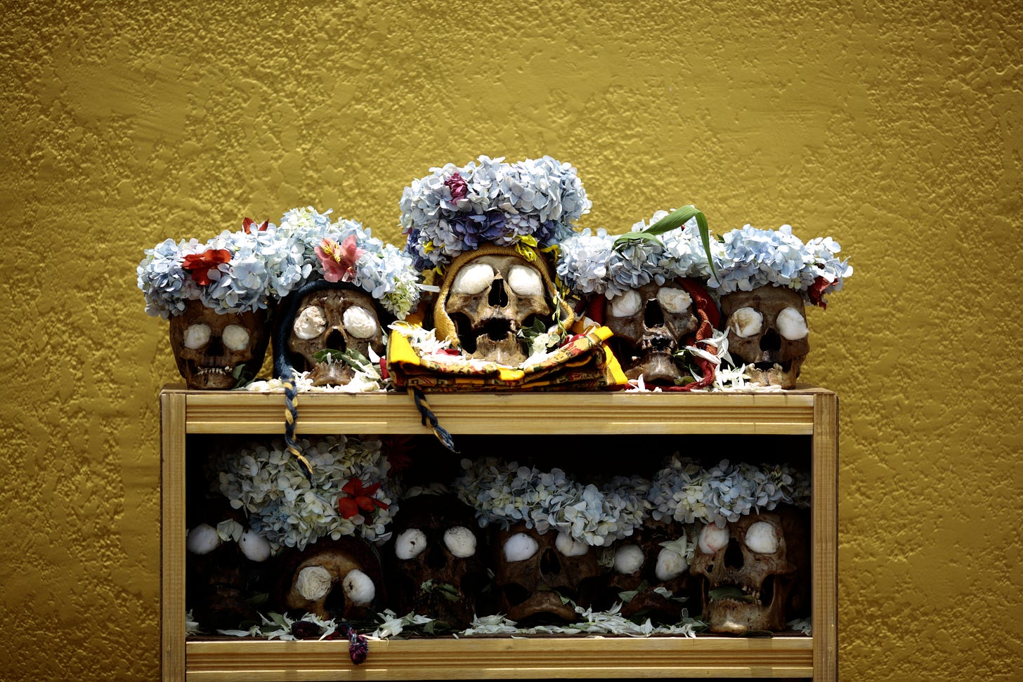Skulls are arranged with flowers on November 8, 2023 in La Paz, Bolivia. (Photo by Gaston Brito/Getty Images)