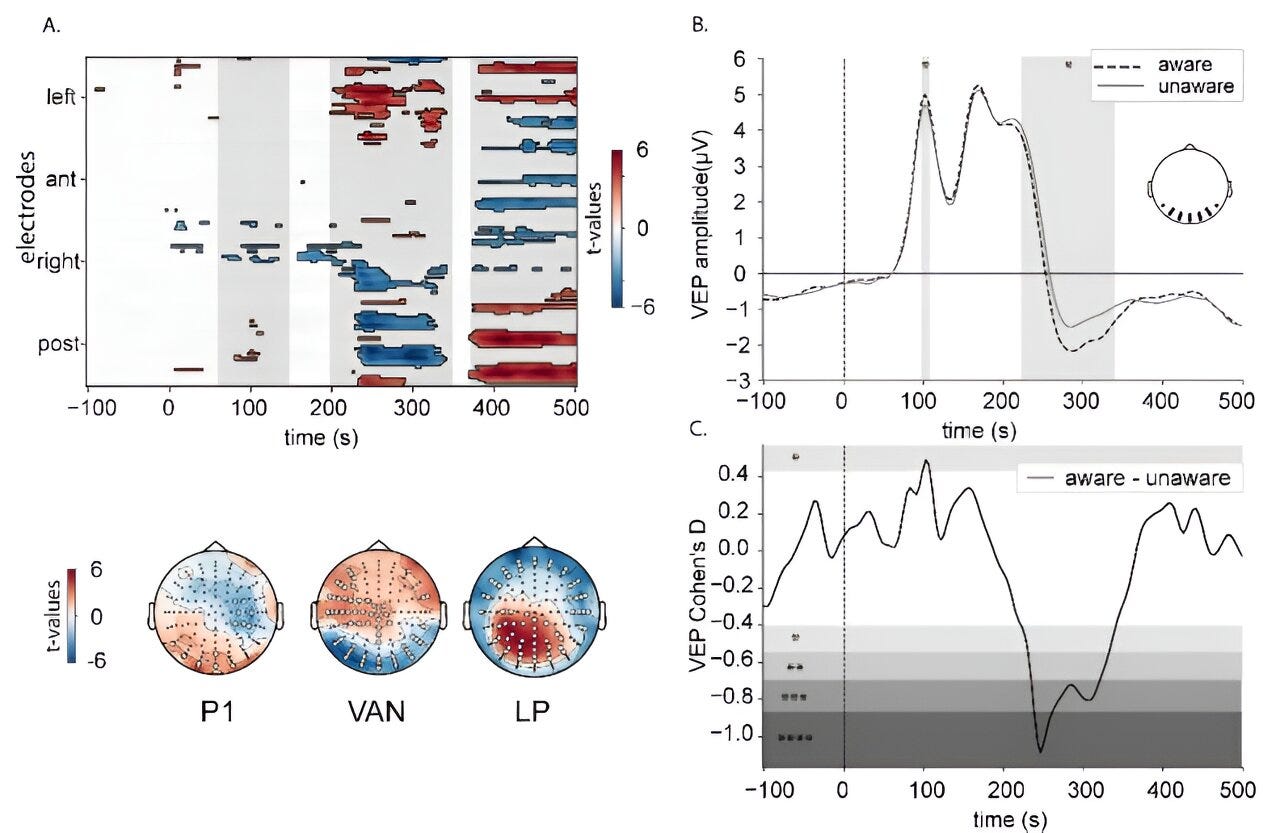 Researchers show how breathing and heartbeat influence perception