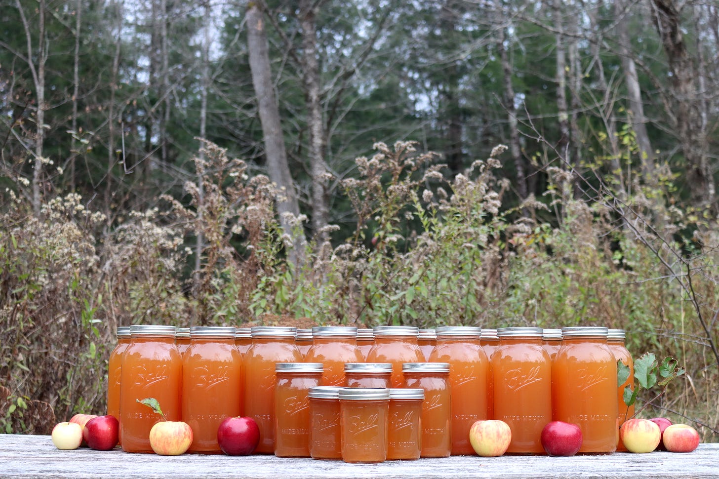 Canning Apple Cider