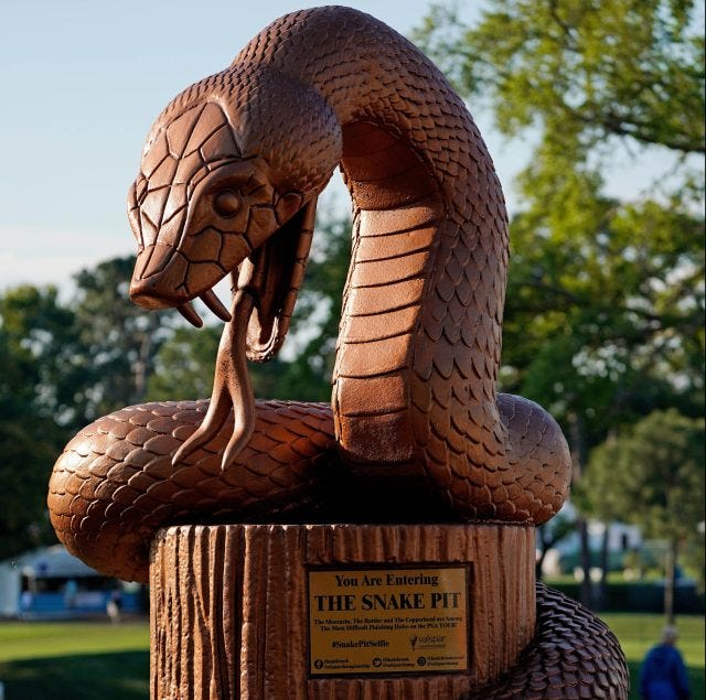 Valspar Championship: Golfers must navigate Snake Pit at Innisbrook