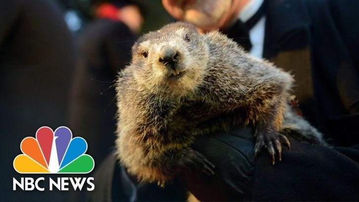 Your weekend viewing choices sorted! PLUS: Punxsutawney Phil! And some TV news
