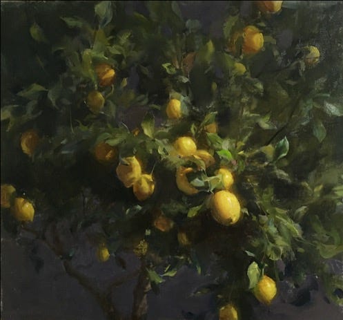 A lemon tree with fruits

Description automatically generated