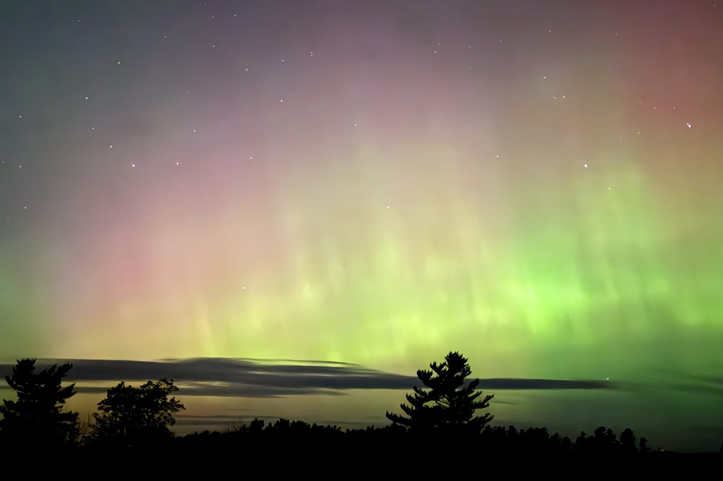 Green and gold aurora bands dance into pink edges above a treetop horizon.