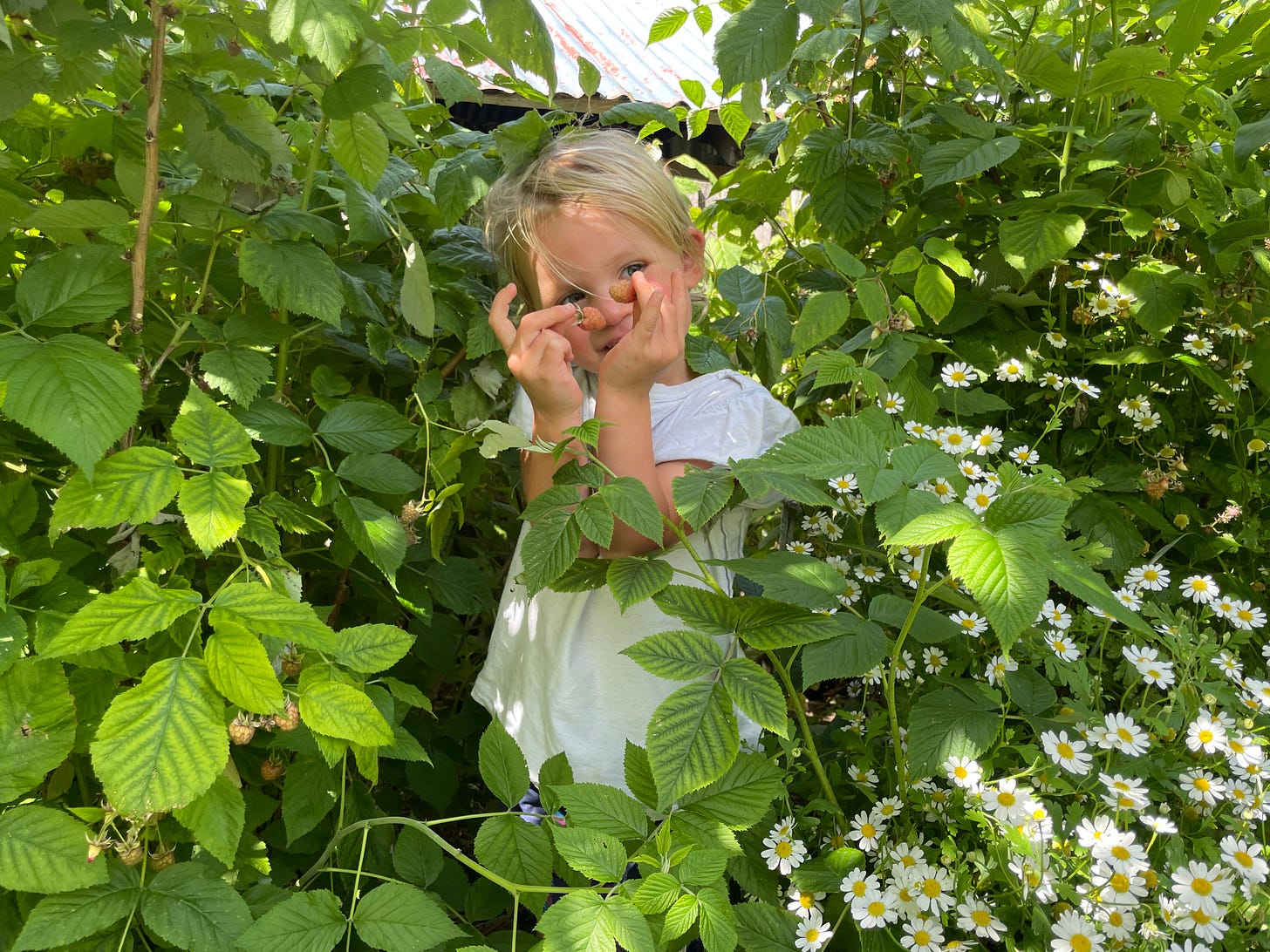 a girl holding two light pink raspberriesm standing in the raspberry canes