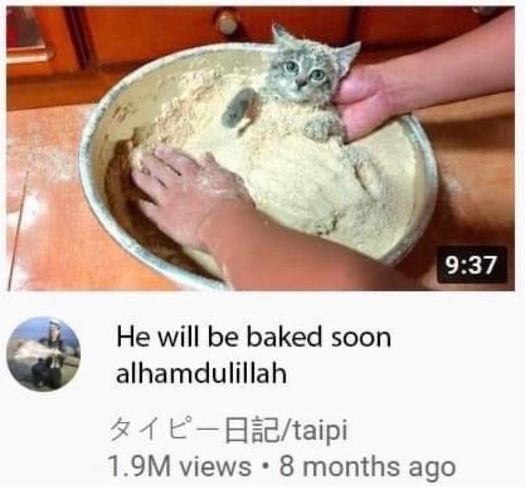 He will be baked soon : r/cateatingvegans
