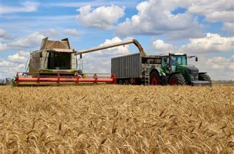 Russia returns to UN-brokered grain deal with Ukraine - Ships & Ports