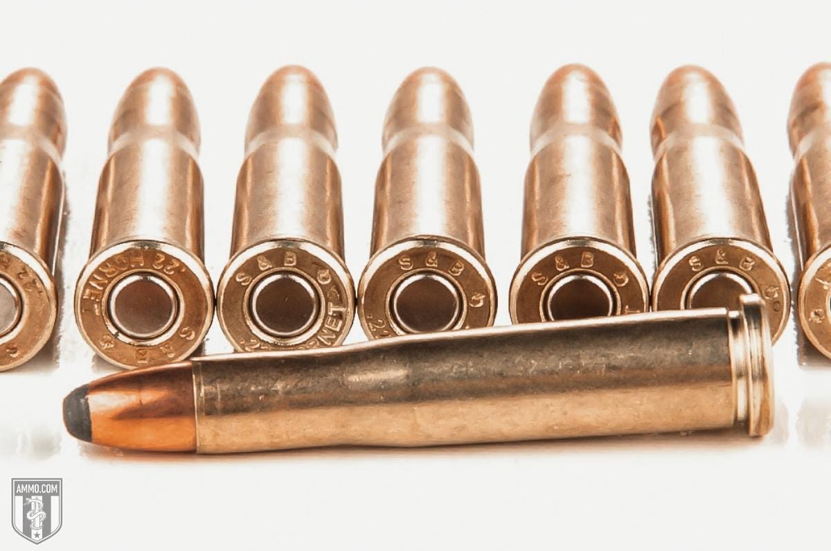 22 Hornet ammo for sale