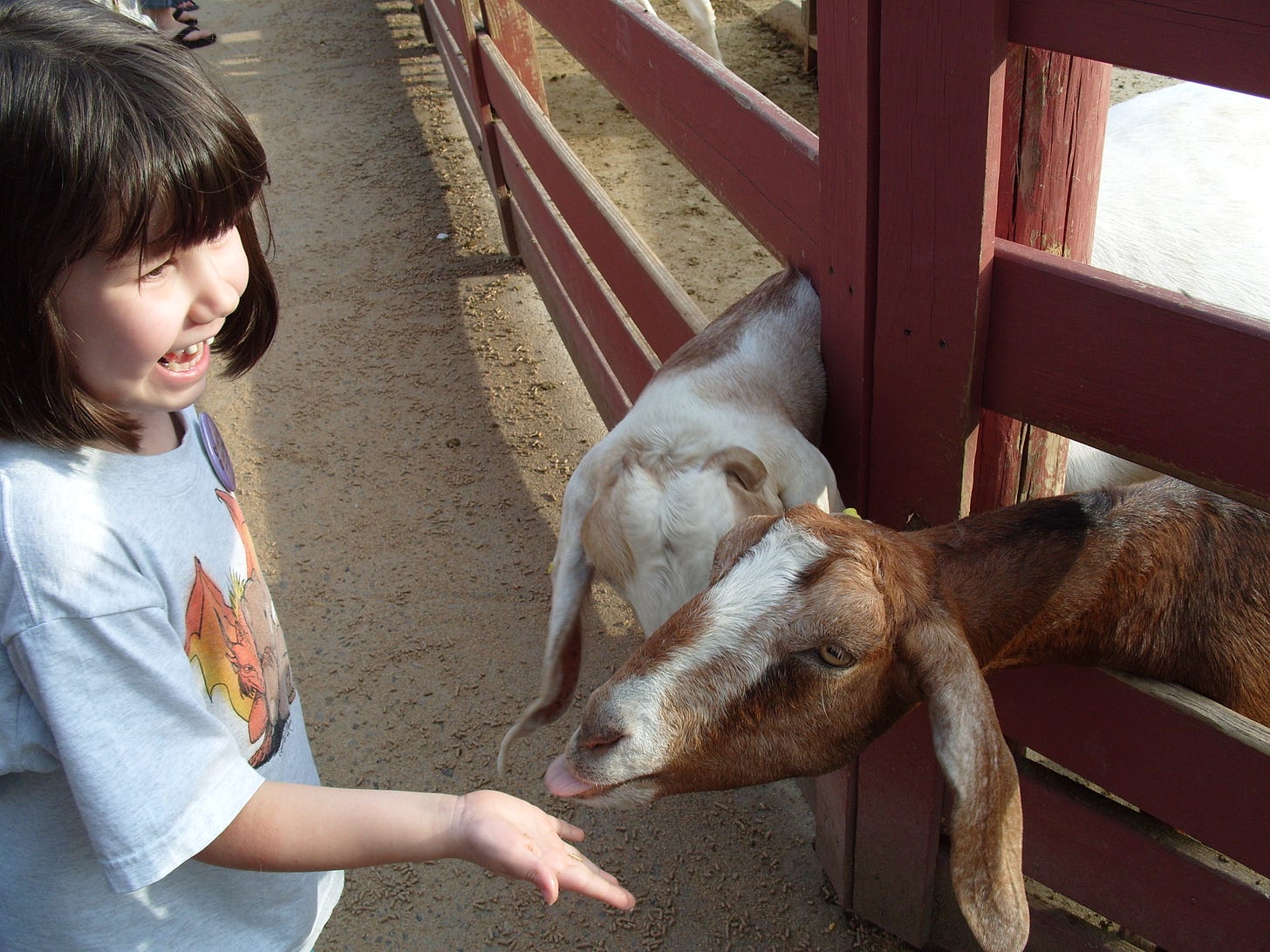 My daughter Thea and two goats