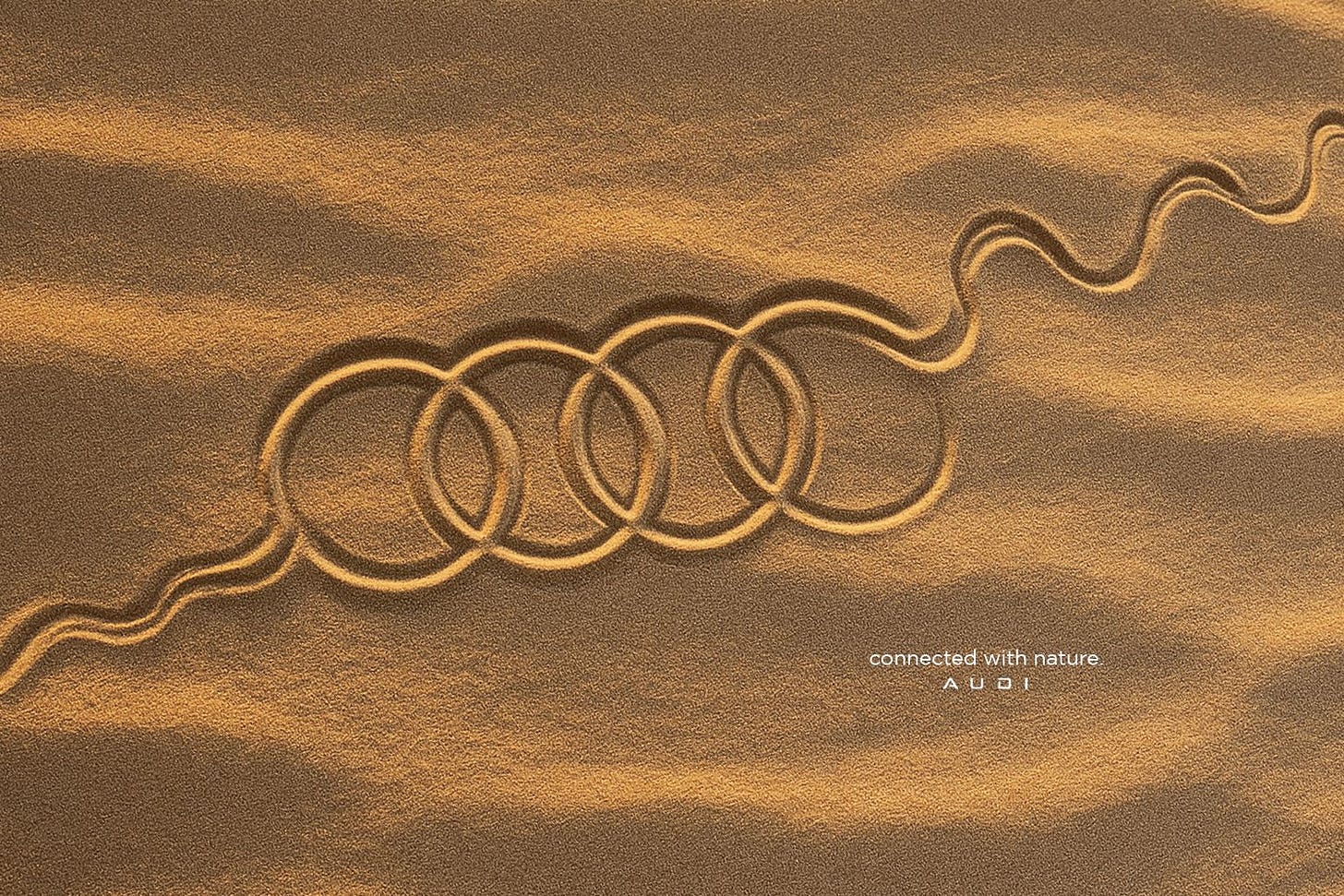 No alternative text description for this image