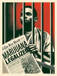 Cannabis Justice Now - Amplifier ...