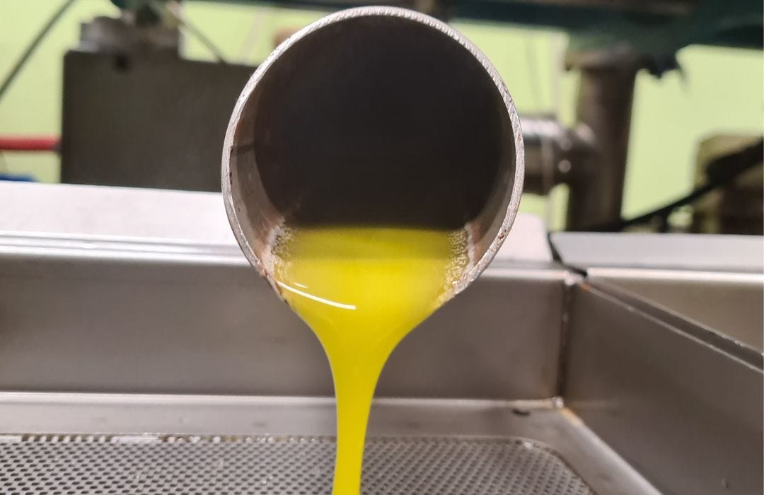 olive oil pouring
