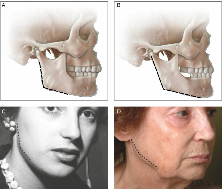 Figure 1. Figure 1.