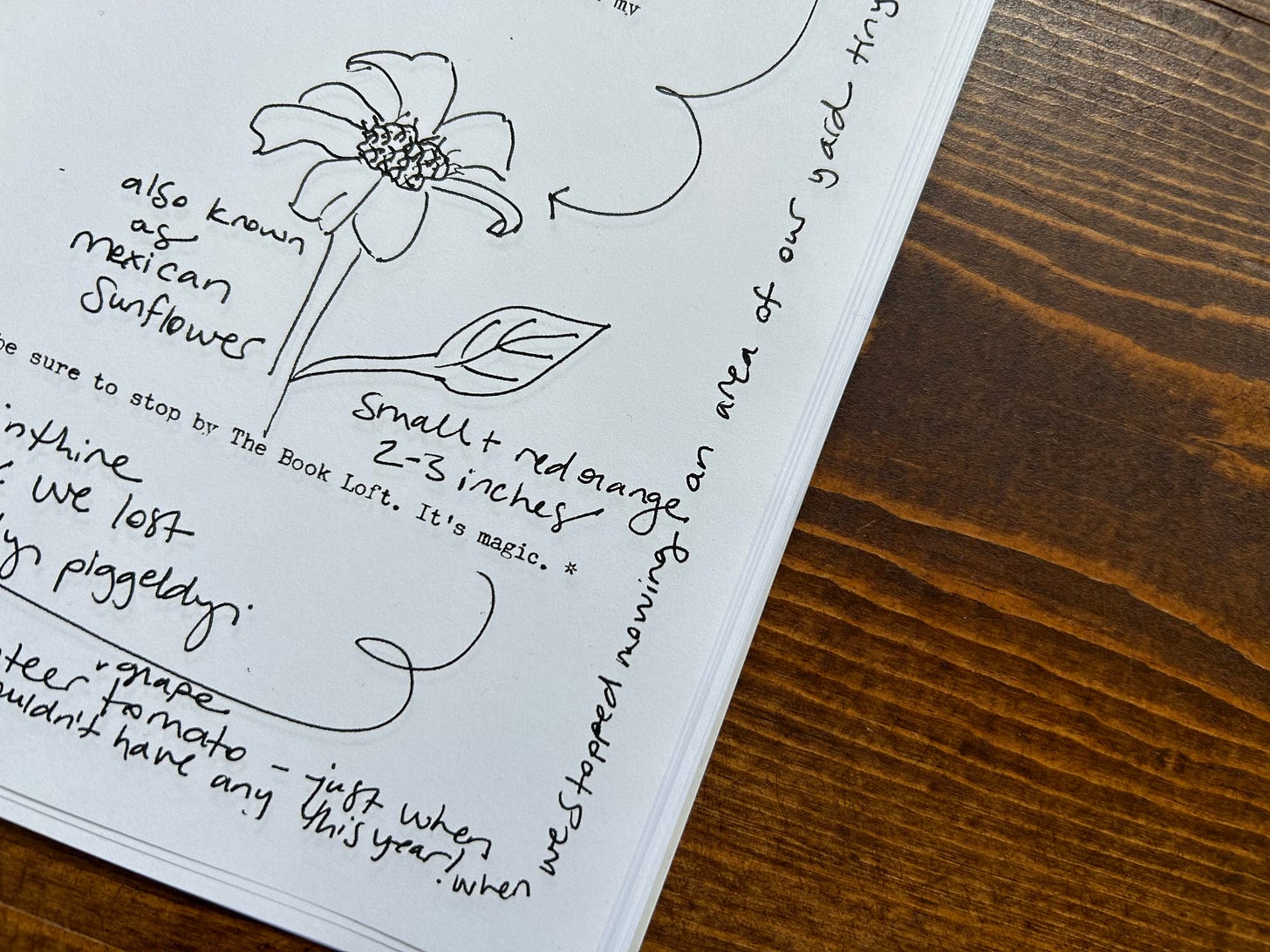 Corner of letter with a hand drawn flower, typewritten text, and handwritten marginalia.