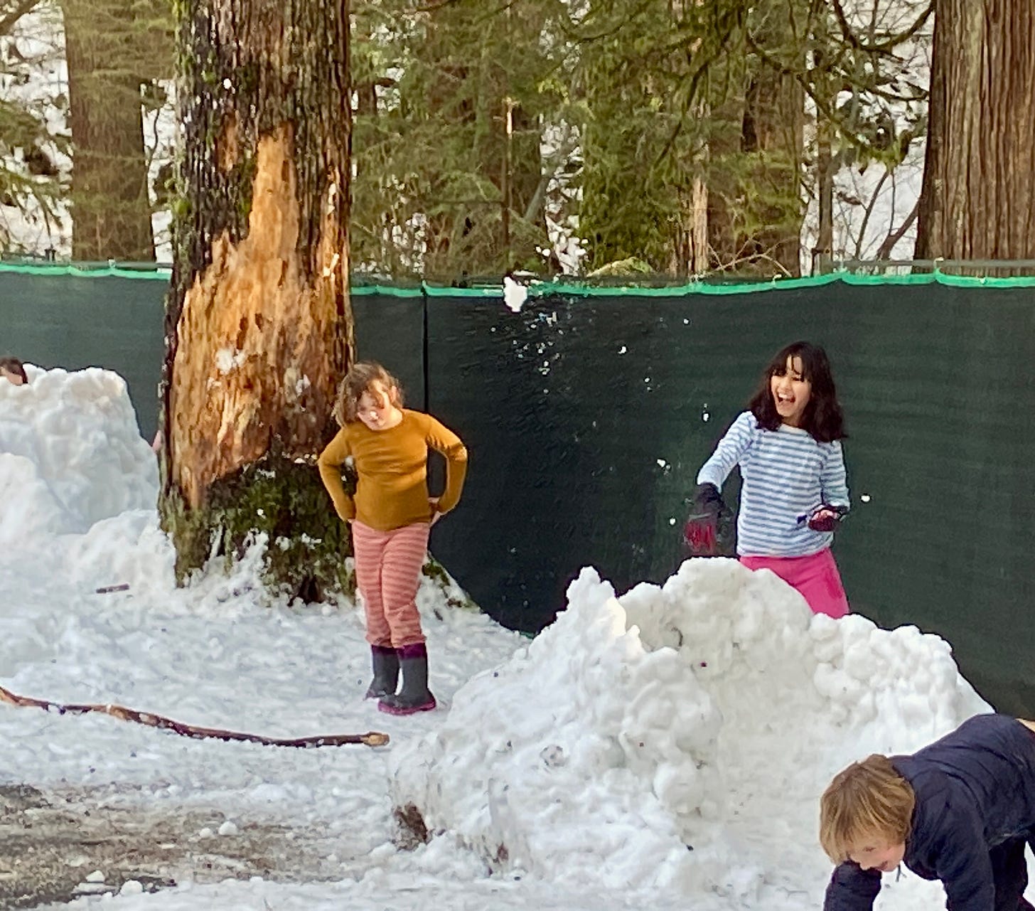 Three children playing in the snow, one girl is throwing a snowball