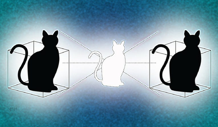 In quantum computing, doubling down on Schrödinger's cat | YaleNews