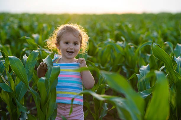Child Farmer Excited Stock Photo | Royalty-Free | FreeImages