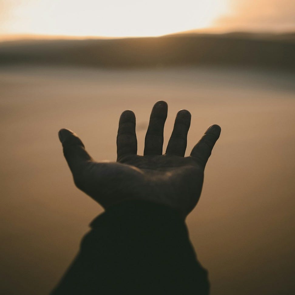 person's hand person's hand