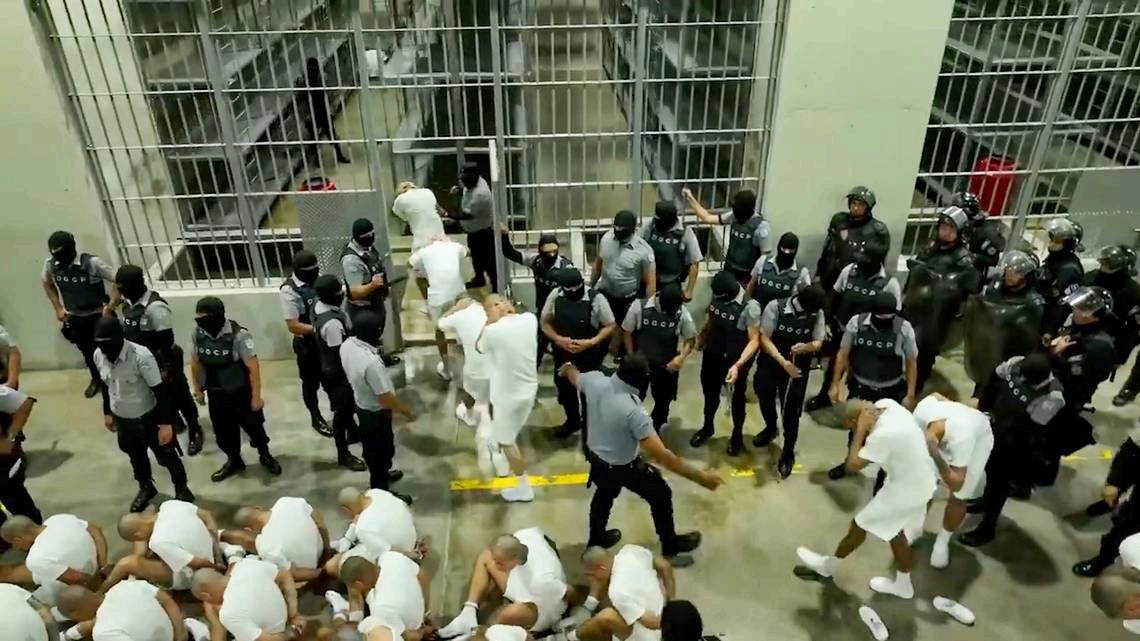 Venezuelans (in theory) being rounded up to be prepared for insertion into their 200-person cell/cage by CECOT correction thugs. Venezuelans (in theory) being rounded up to be prepared for insertion into their 200-person cell/cage by CECOT correction thugs.