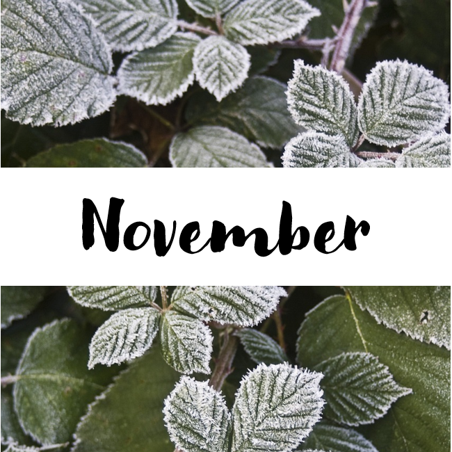 Frost-covered leaves. On a white banner, the text reads "November"