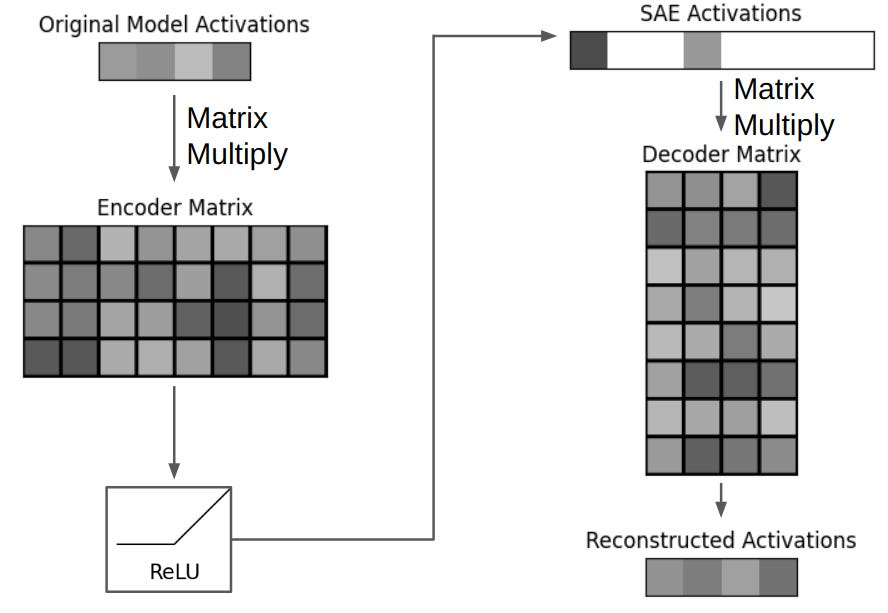 Diagram of a sparse autoencoder forward pass