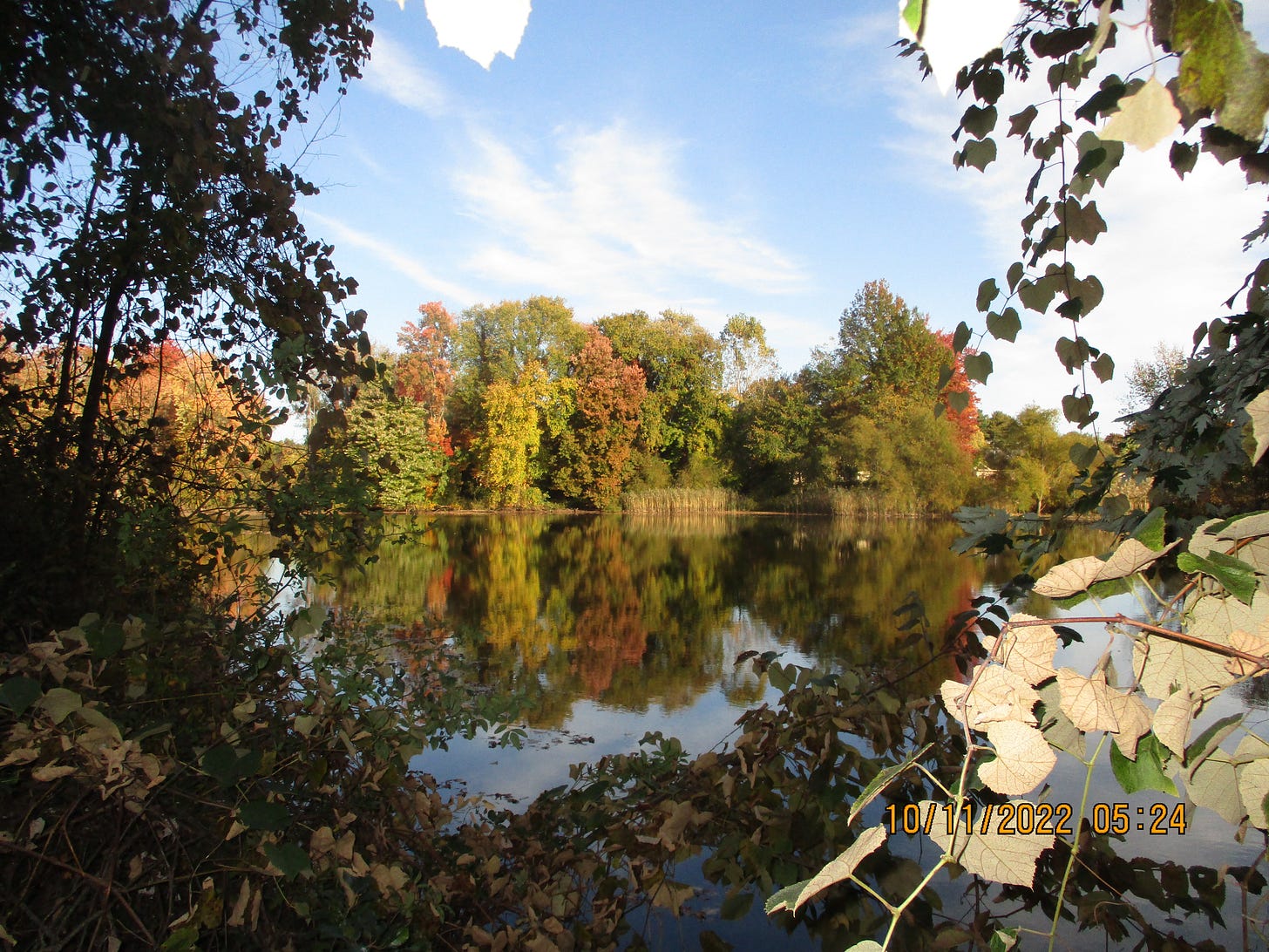 White Pond photo with Fall coloured leaves