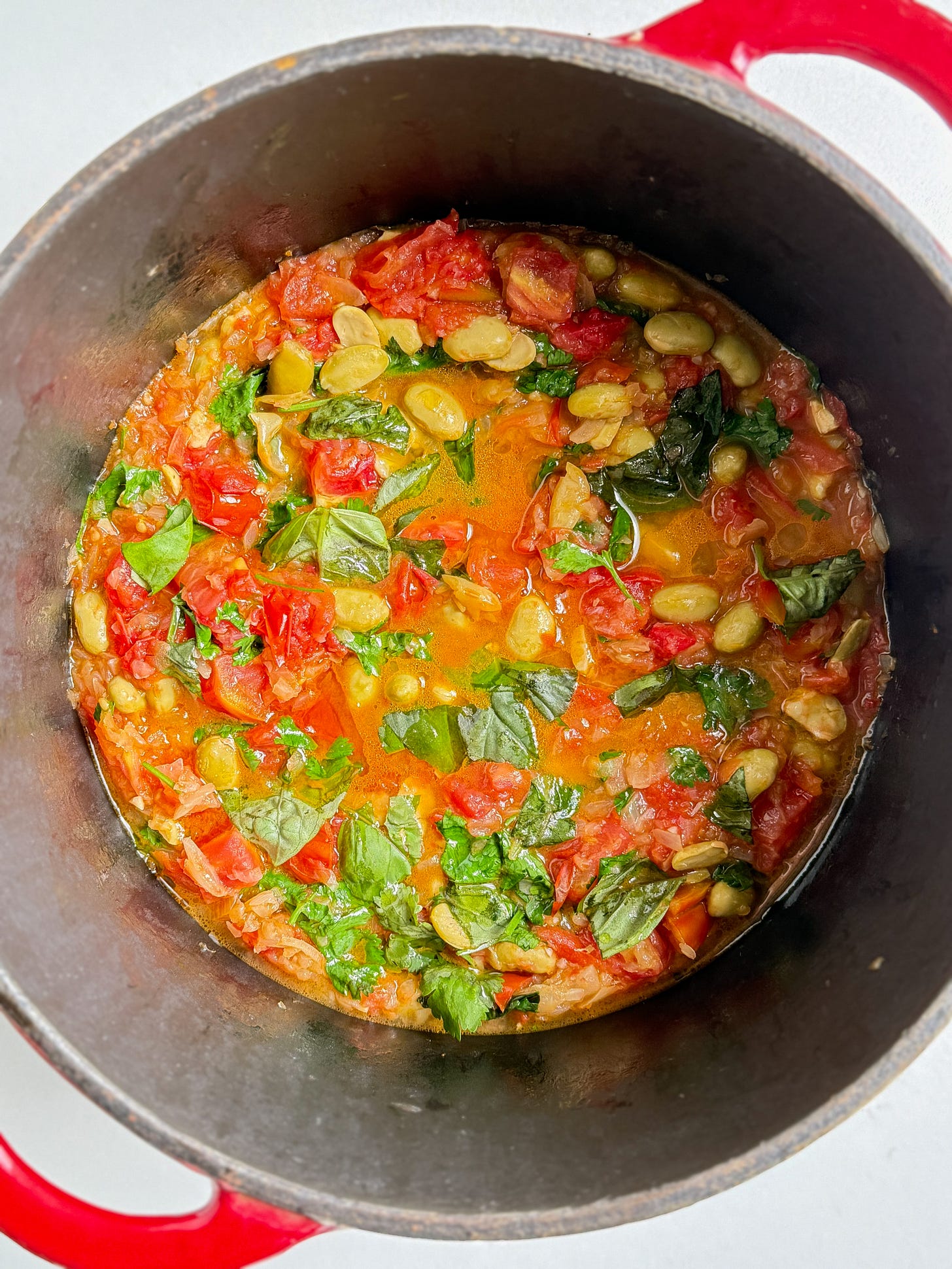 tomato fava beans easy recipe