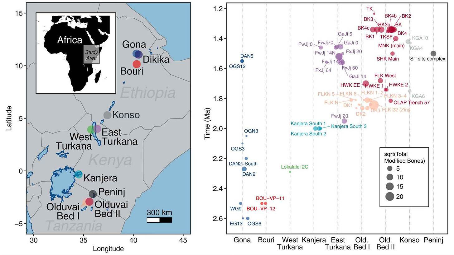 Two panels. Left panel is a map of northeast Africa with sites designated. Right panel is a map showing the time of various archaeological sites, with the number of modified bones indicated by the size of the circle representing each Two panels. Left panel is a map of northeast Africa with sites designated. Right panel is a map showing the time of various archaeological sites, with the number of modified bones indicated by the size of the circle representing each