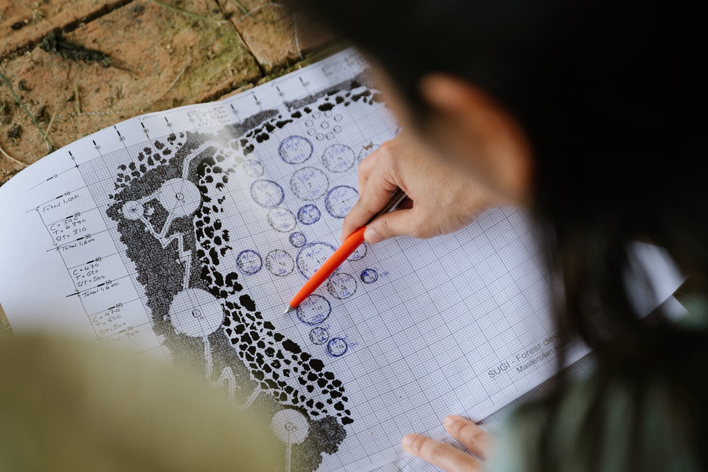 Planning the Ancestral Forest in Pattaya, Thailand. Courtesy of SUGi.